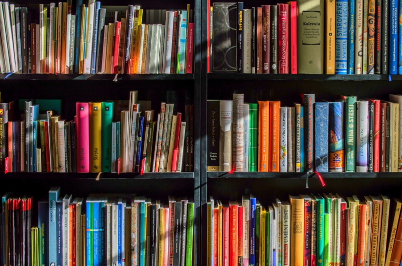 magasin-SIX FOURS LES PLAGES-min_books_bookstore_book_reading_shop_writer_sale_books_read-822866